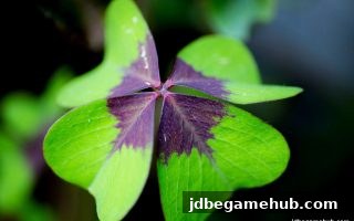 深入拆解：jdb电子平台下MG时时彩实时数据工具的全维度指南
