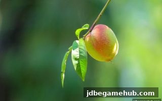 jdb电子深度解读：菲律宾游戏娱乐信任危机及玩家维权全流程指南