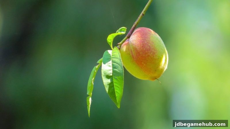 jdb电子深度解读：菲律宾游戏娱乐信任危机及玩家维权全流程指南