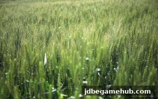 深入解析jdb电子返水优惠审核标准：合规玩法与策略指南