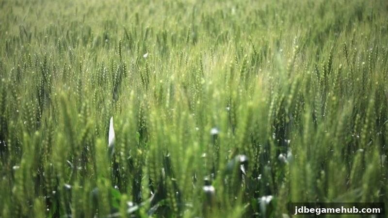 深入解析jdb电子返水优惠审核标准：合规玩法与策略指南