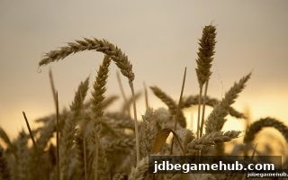 jdb电子每日签到合规宝典：轻松避坑，福利拿到手软