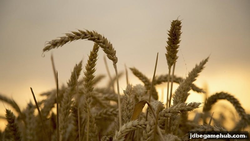jdb电子每日签到合规宝典：轻松避坑，福利拿到手软