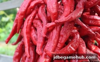 首存红包攻略：jdb电子平台新用户福利全解析